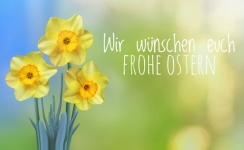 Easter Daffodils Flowers Postcard