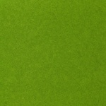 Paper Green Background Texture
