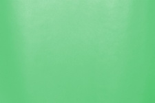 Pastel Green Smooth Background