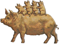 Pigs With Babies On Board