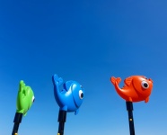Plastic Fish And Blue Sky