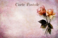 Postcard Old Roses Vintage