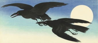 Ravens Moon Vintage Art