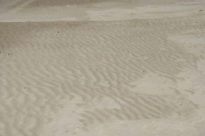 Rippled Sand Textures On Beach