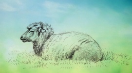 Sheep Lamb Vintage Art