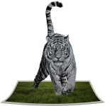 Silver Tiger Art 3d