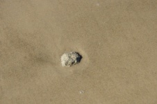 Single Rock In Sand And Water