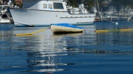 Small Boat In Marina