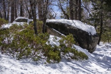 Snow Covered Boulder Rock