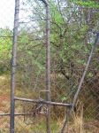 Tall Metal Gate Locked With Chain