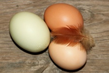Three Fresh Eggs Close-up
