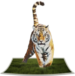 Tiger Art In 3d