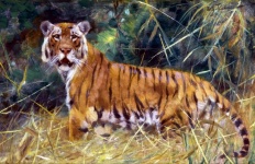 Tiger Cat Vintage Art