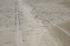 Tire Tracks In Sand Signs