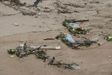 Trash And Debris On A Beach