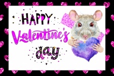 Valentine&039;s Day Rat