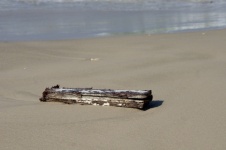 Wooden Plank On Beach