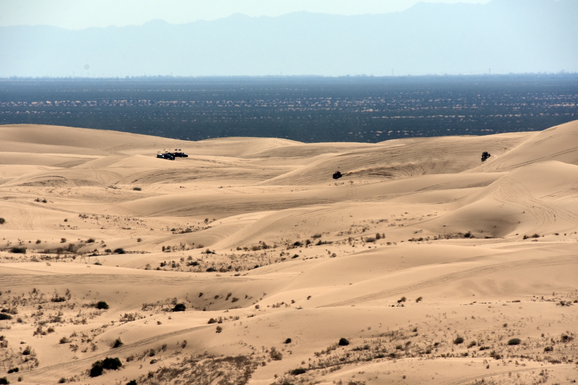 several dune buggies scale the heights of the glamis sand dunes in California