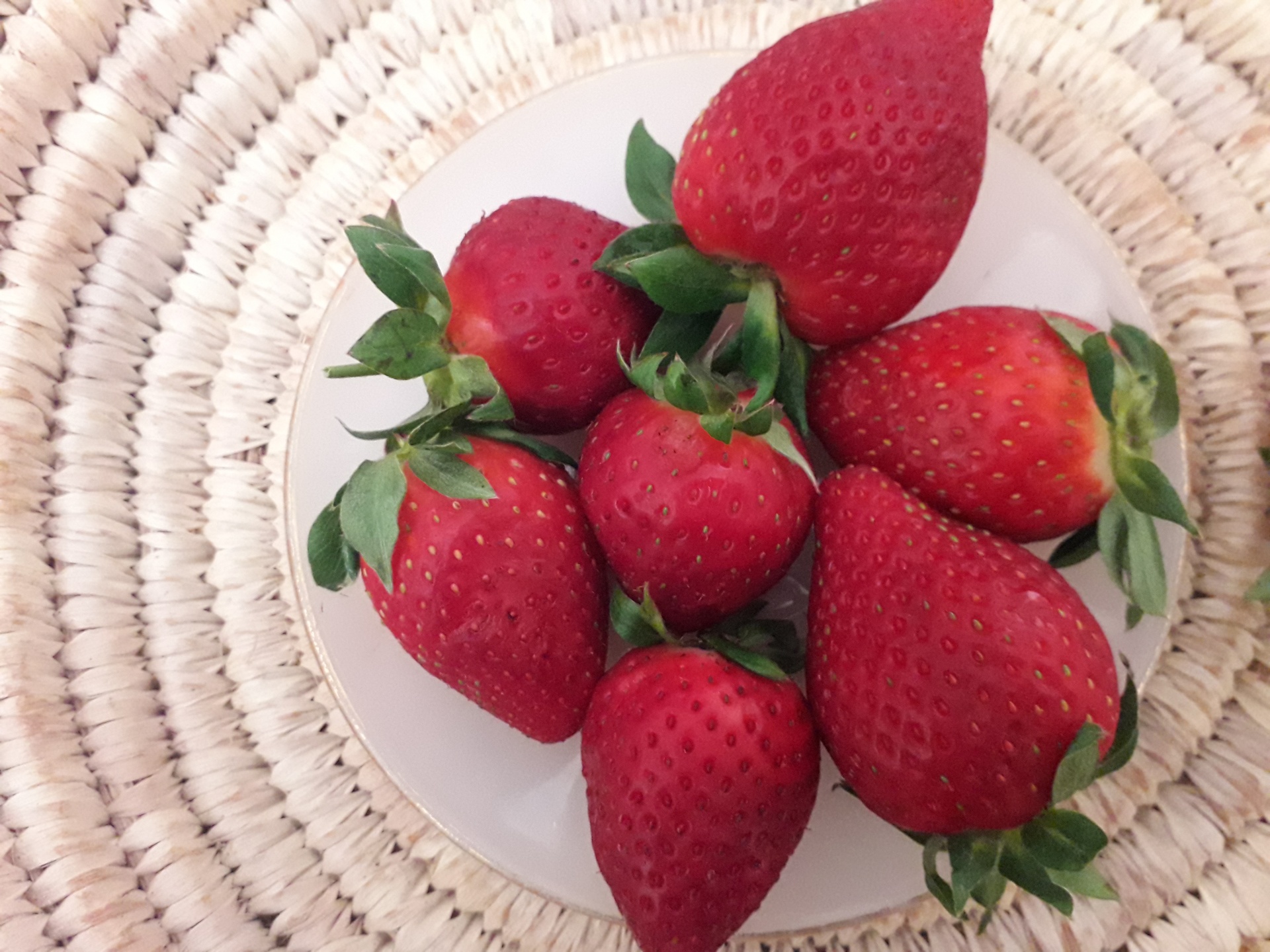 Moroccan strawberry
