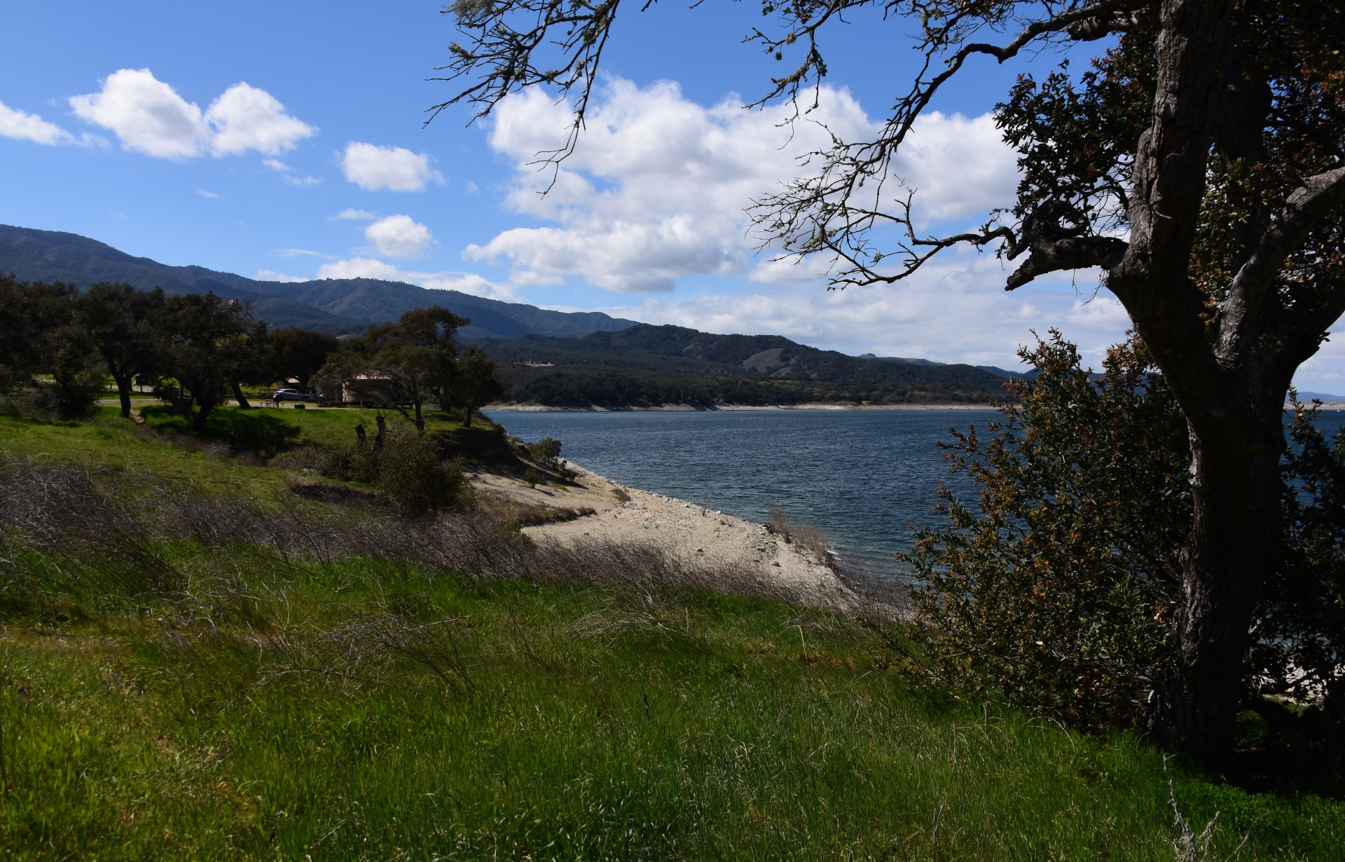 the grassy green shores of the large lake reservoir of Lake Cachuma