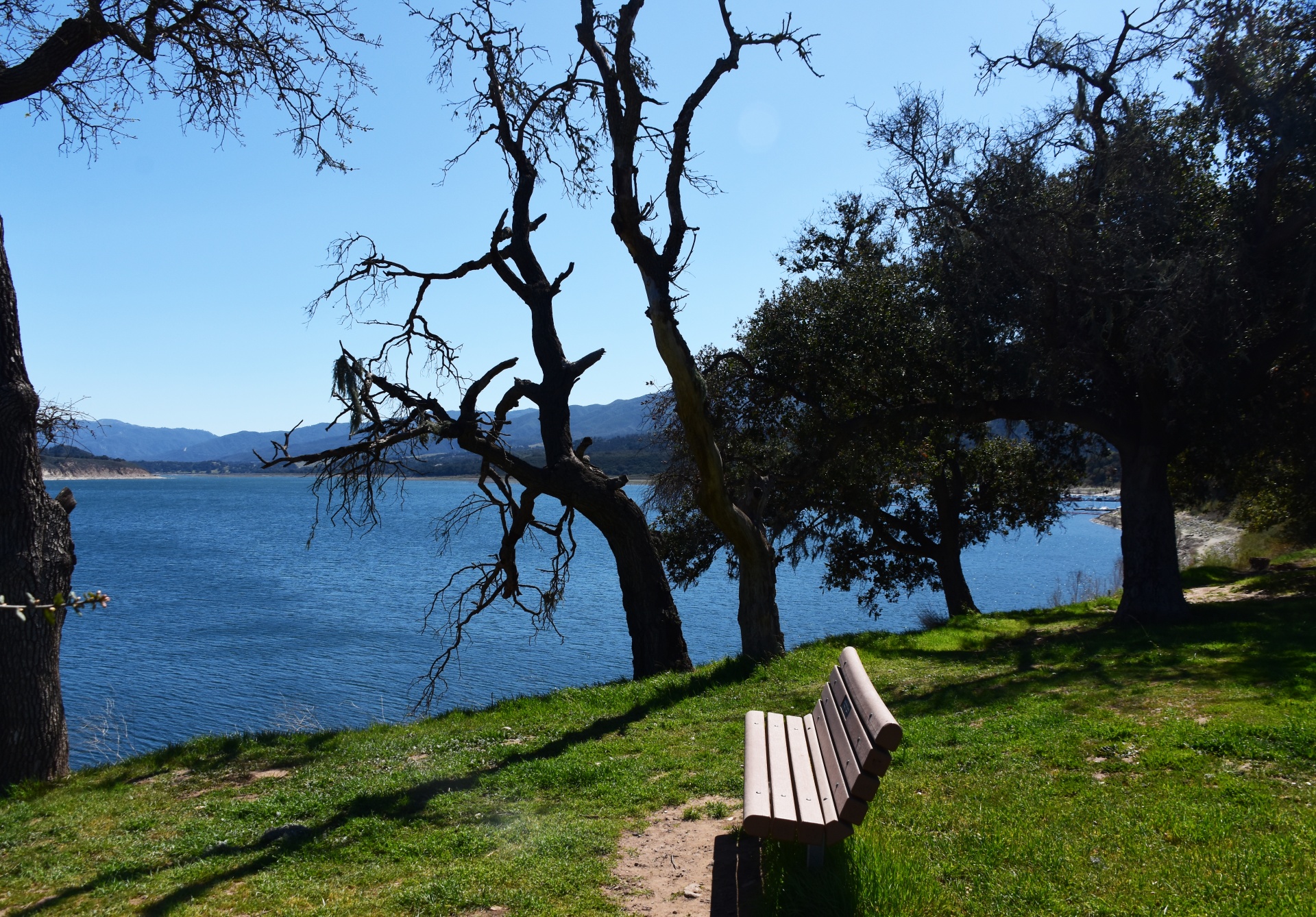 a bench sits on the grassy green shores of the large lake reservoir of Lake Cachuma