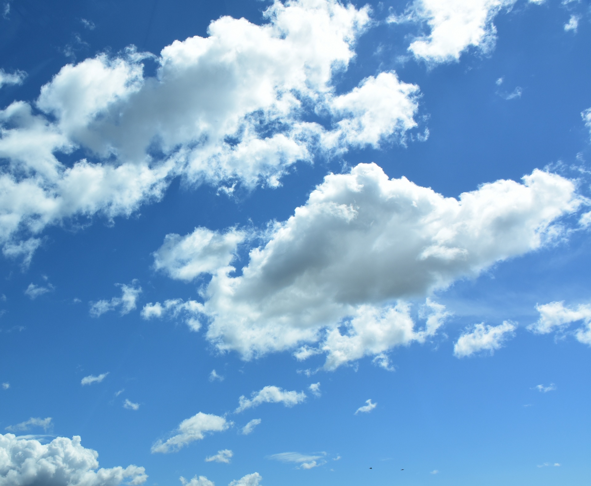 Puffy White Clouds Free Stock Photo - Public Domain Pictures