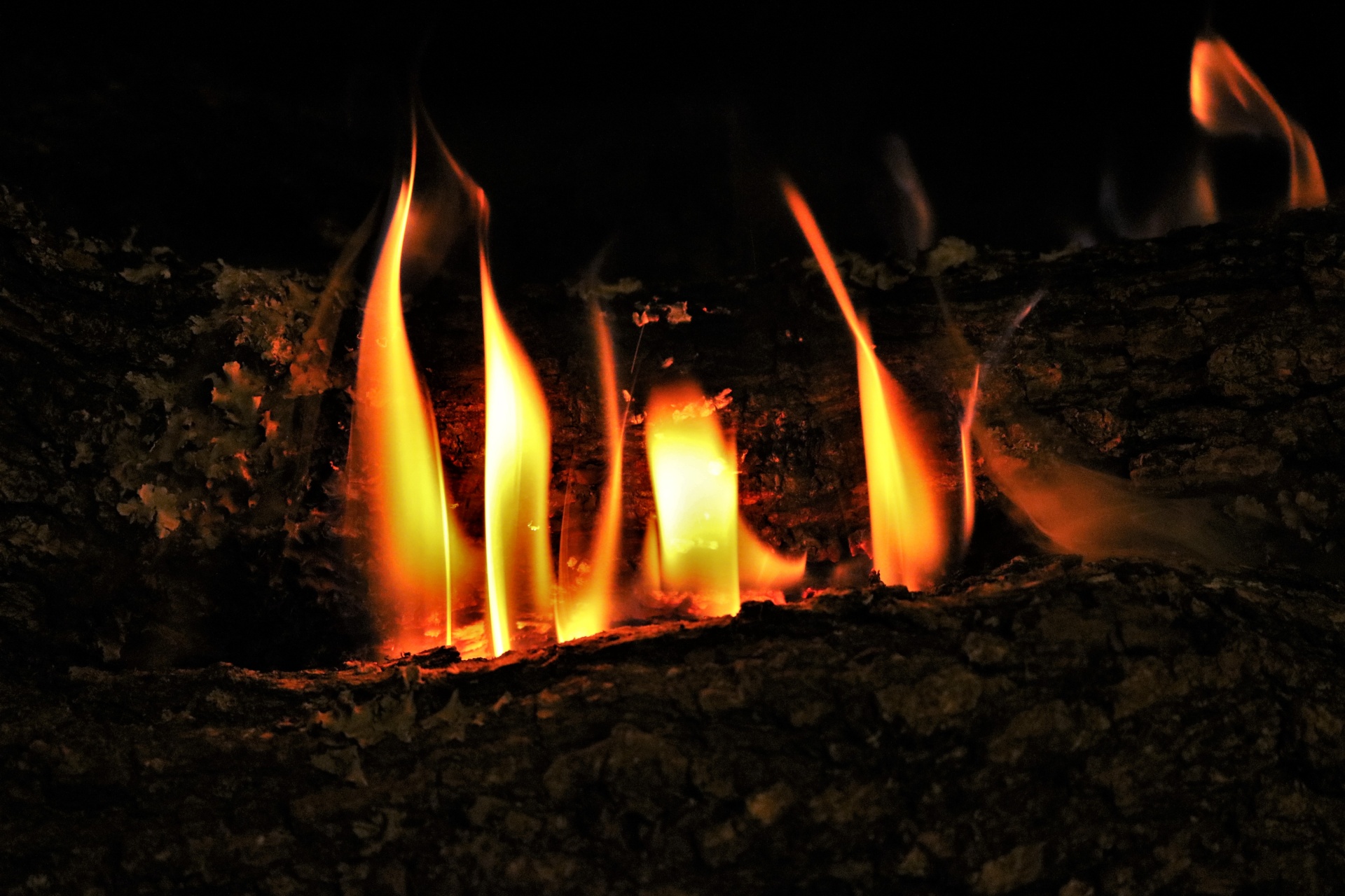Logs Burning In Fireplace