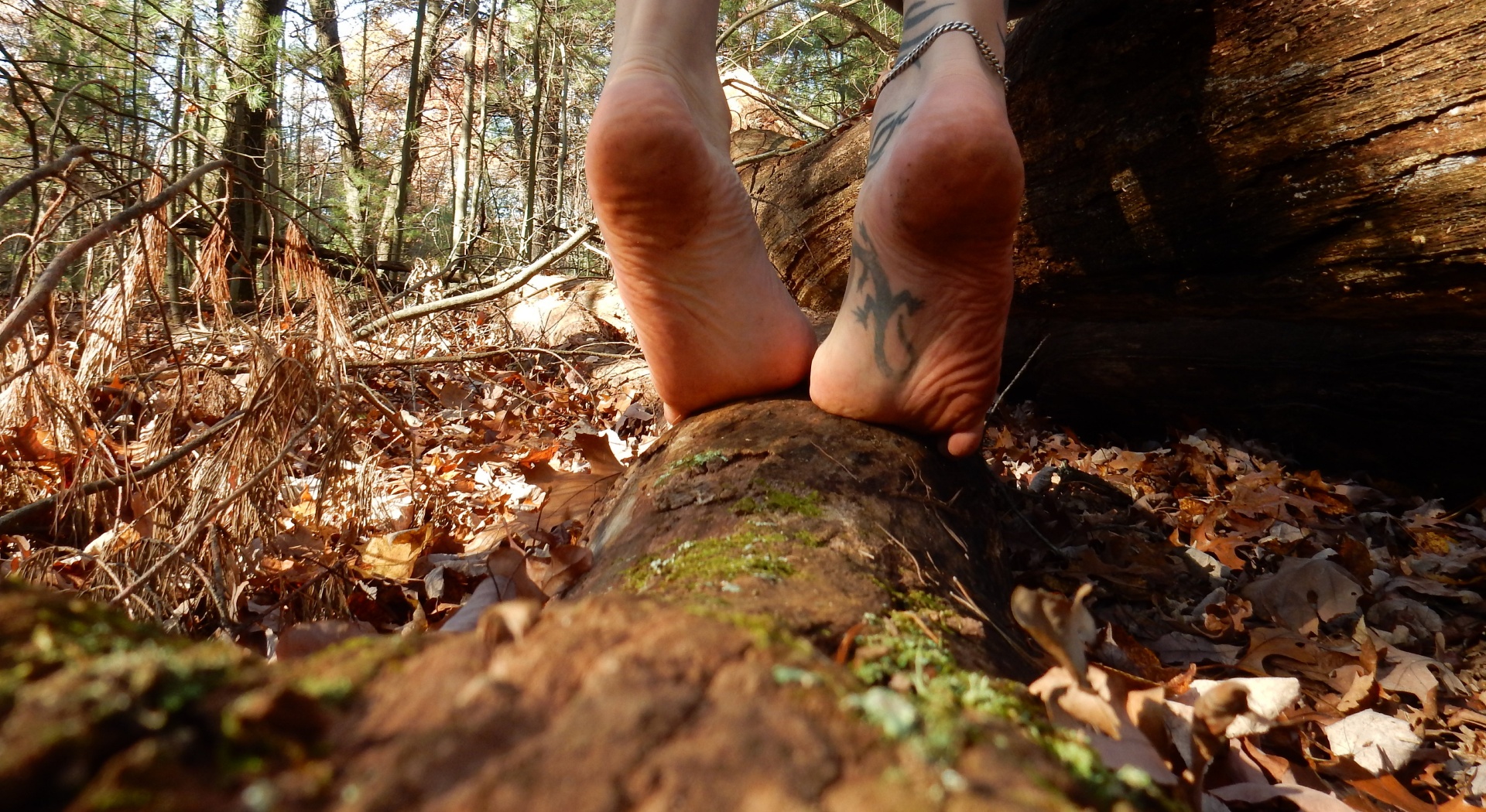 close up of male bare feet