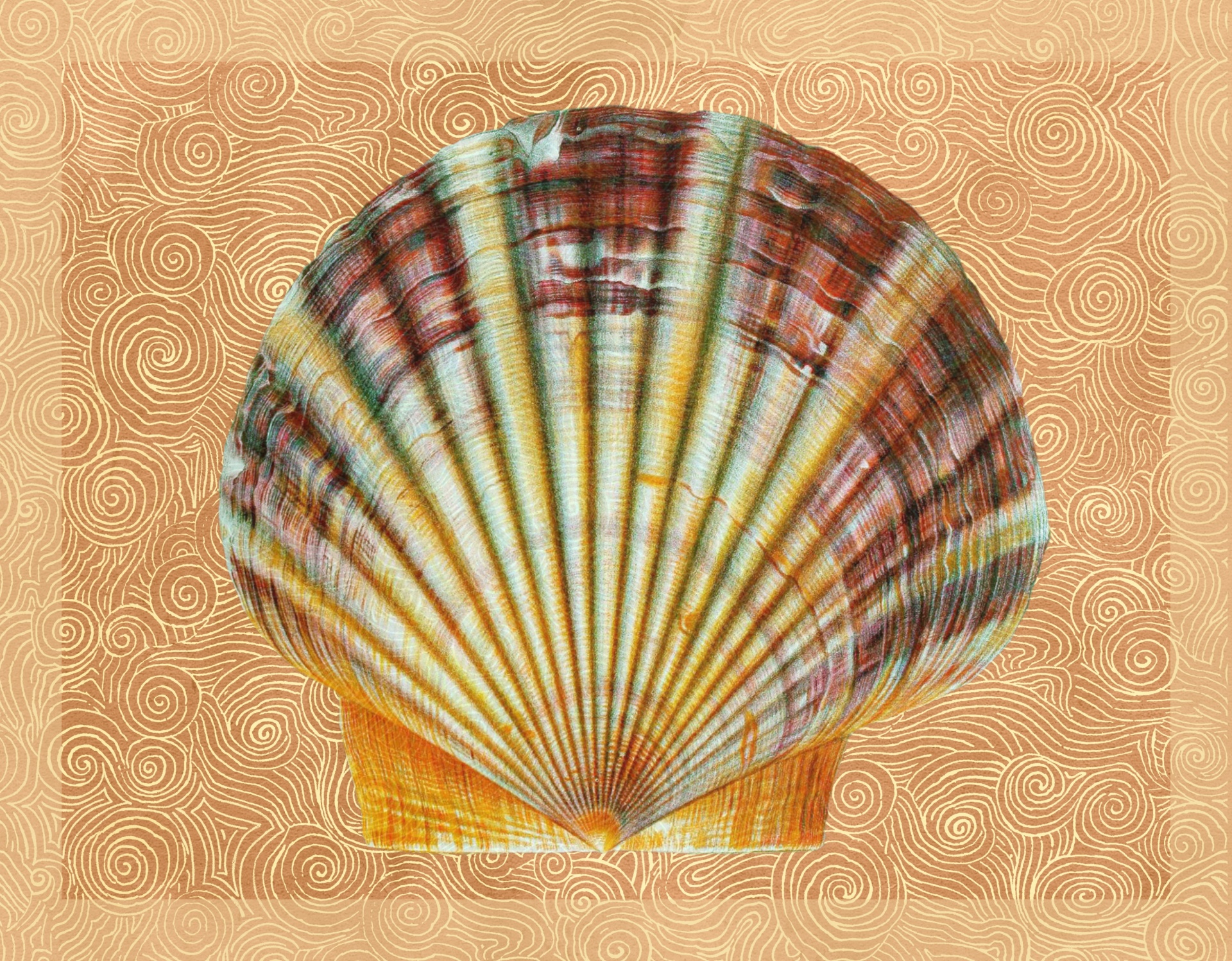 Seashell Waves Poster Vintage