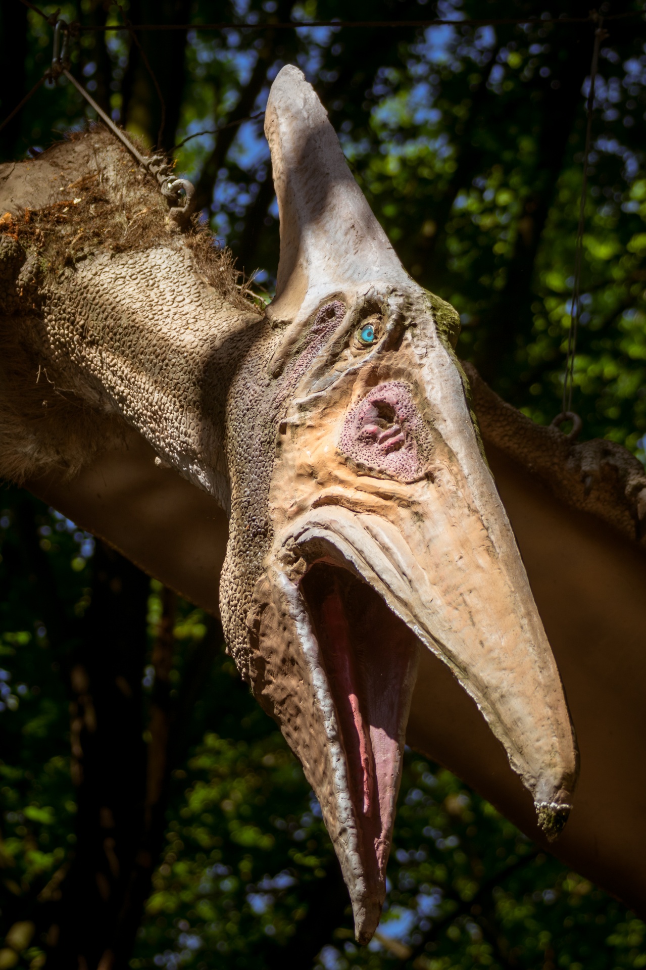 Pterodactyl - flying dinosaur
