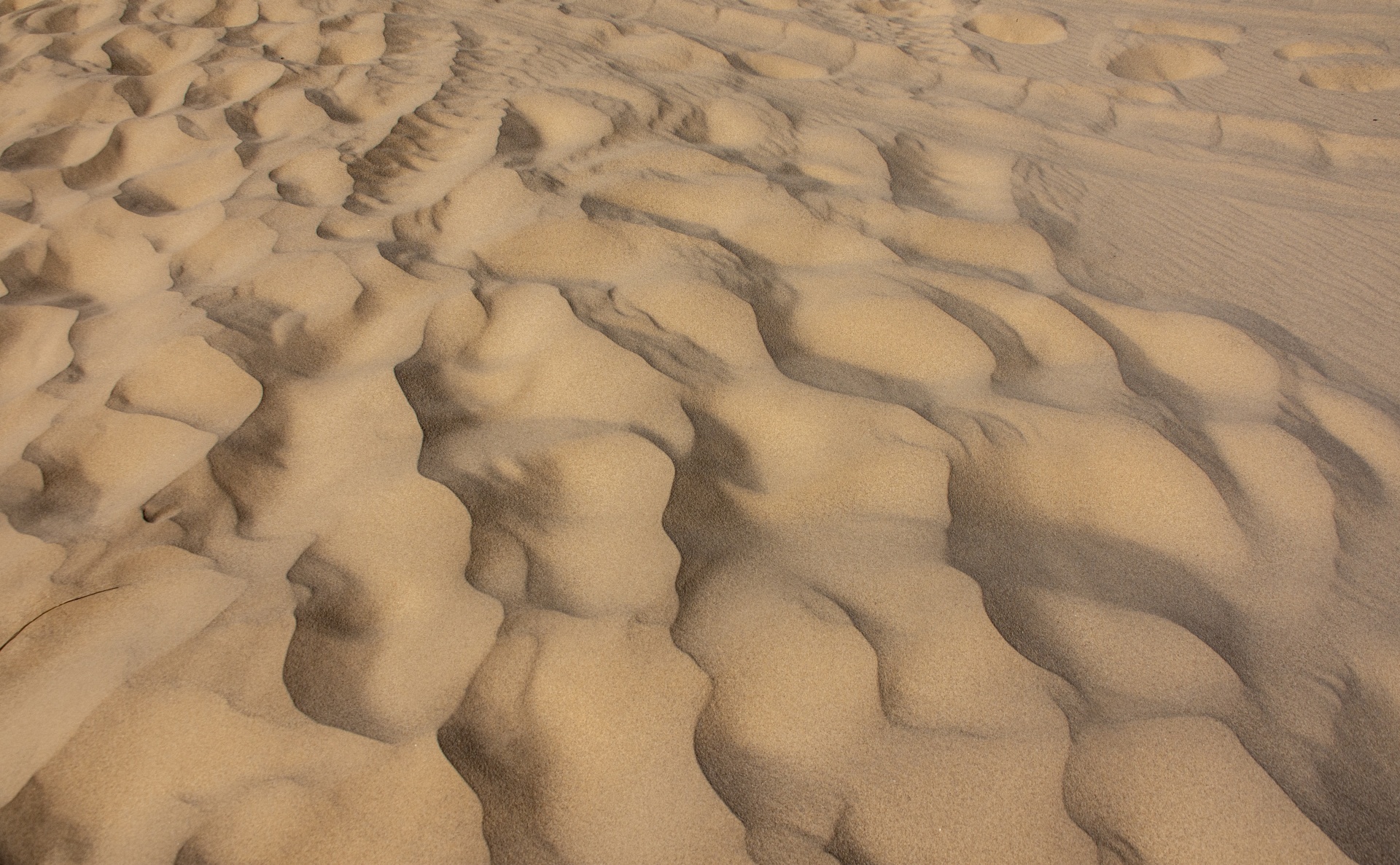 Sand Dune Texture Background