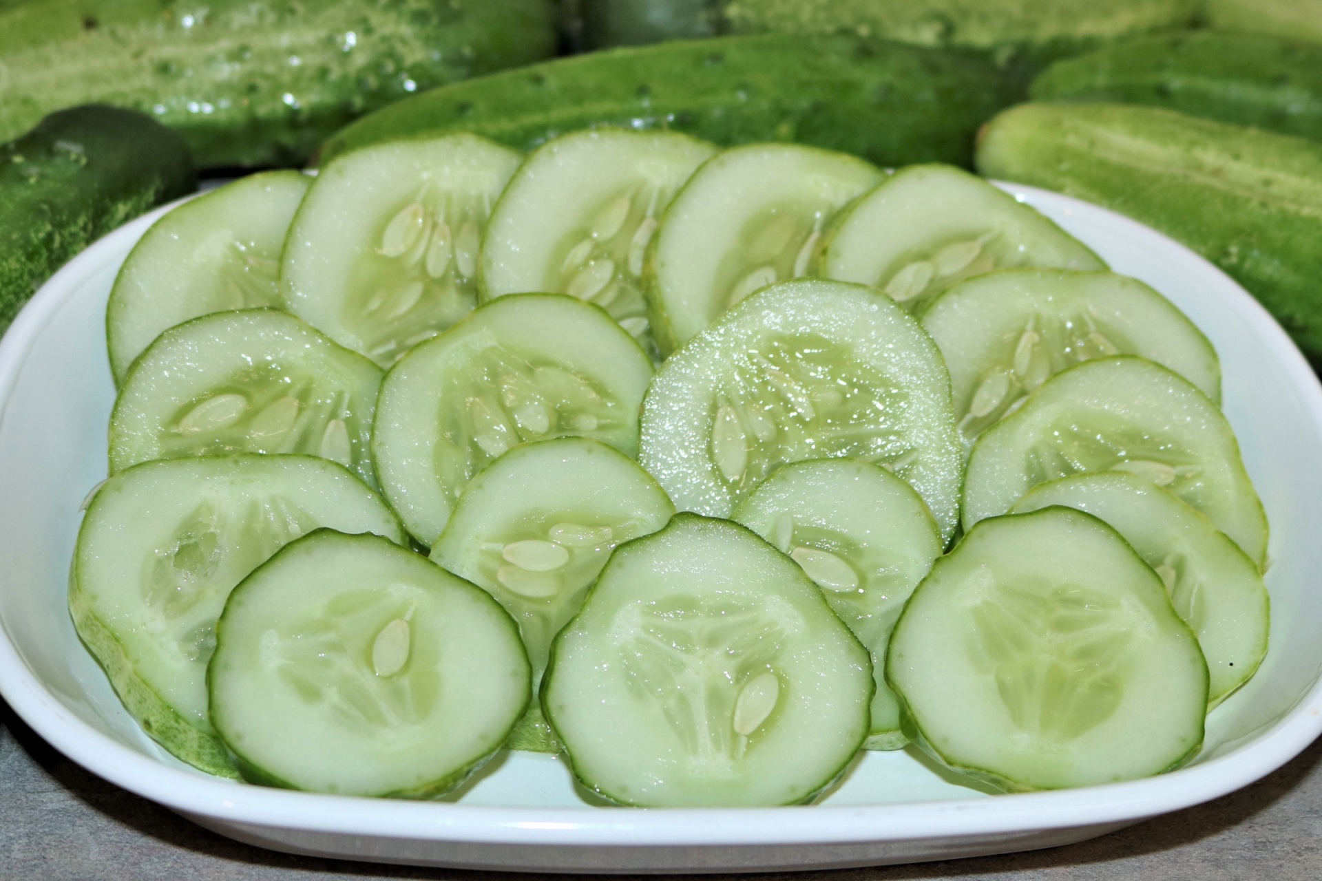 Sliced Cucumber Close-up