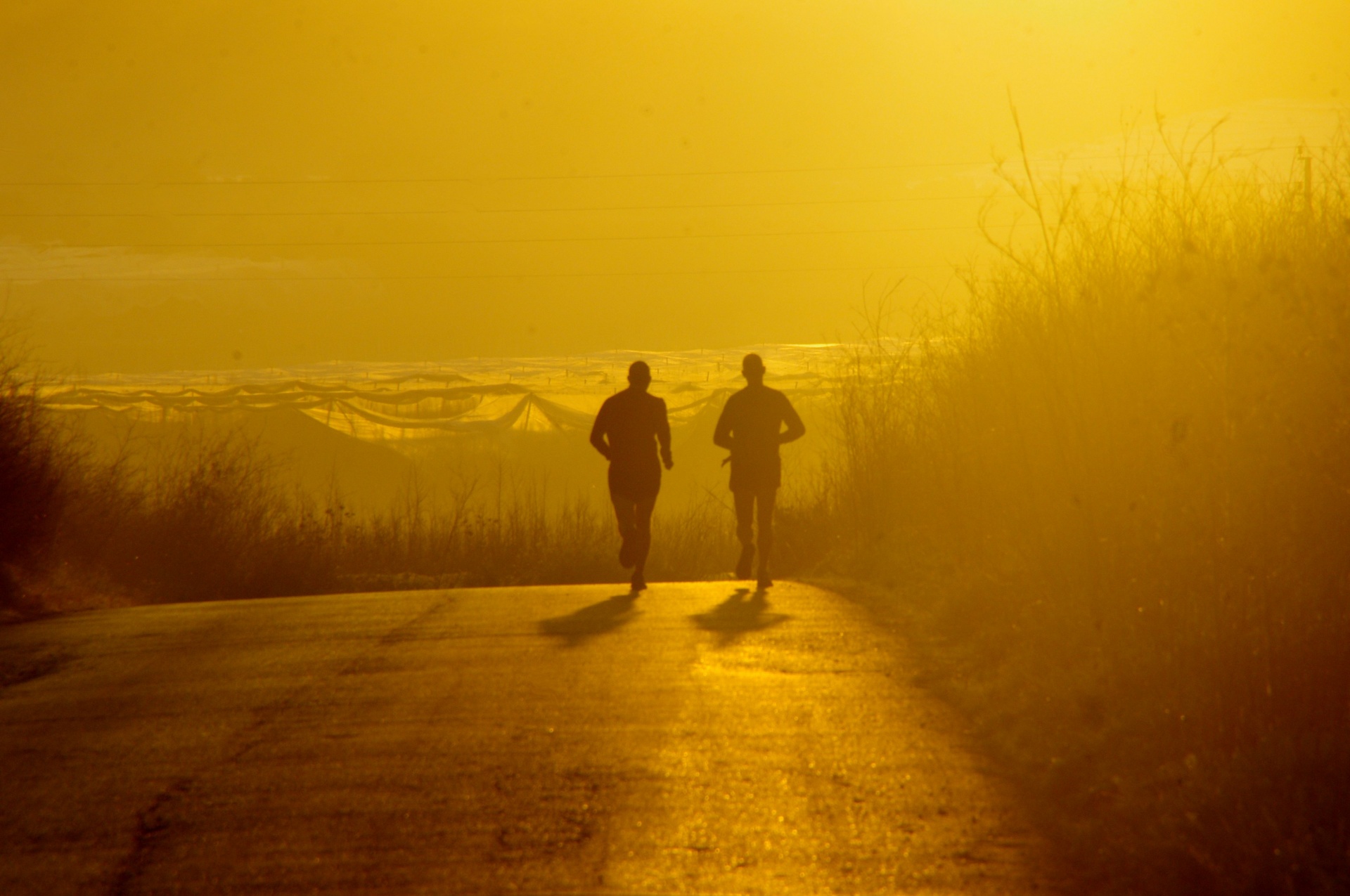 Two men run in golden hour sunrise