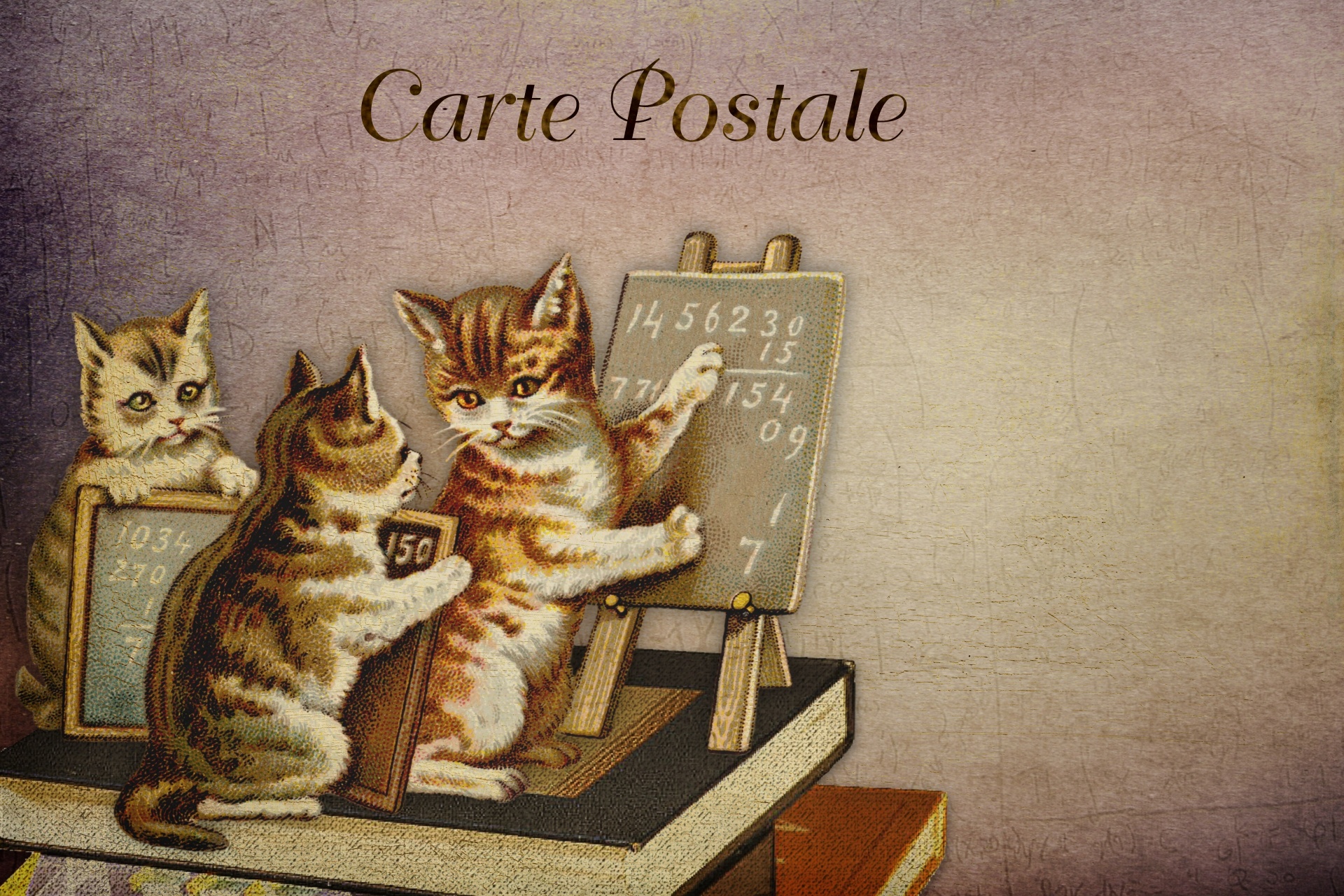 Vintage Cats Illustration Card