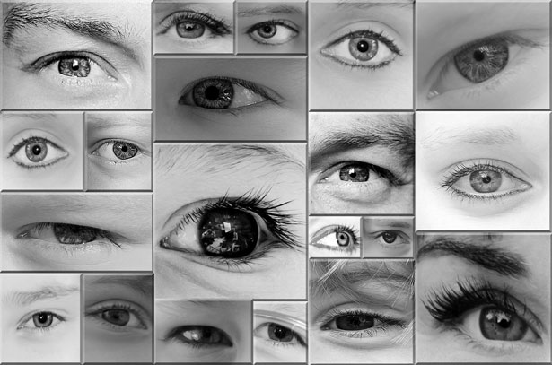 Eyes - Black And White Free Stock Photo - Public Domain Pictures