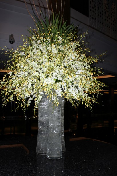 Flori albe în vaza Poza gratuite - Public Domain Pictures