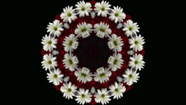 Round Frame Of Flowers