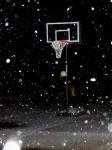 Basketball Anyone?