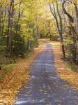 Beautiful Country Road In Fall