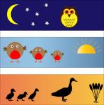 Bird Banners