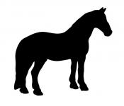 Black Horse Silhouette