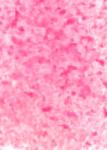 Blotchy Pink Background