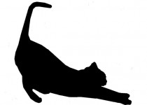 Cat Stretch Silhouette In Black