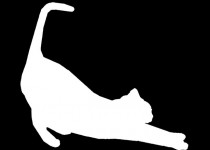 Cat Stretch Silhouette In White