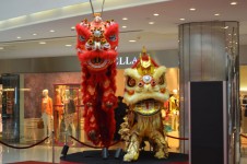 Chinese Lion 2