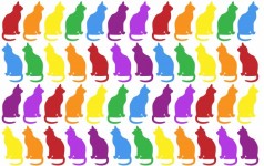 Colorful Cats Wallpaper Background