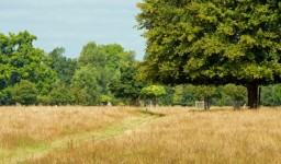 Country Landscape Walk
