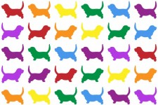 Dog Colorful Wallpaper Background