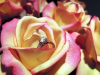 Engagement Ring In Roses