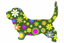 Funky Floral Retro Dog